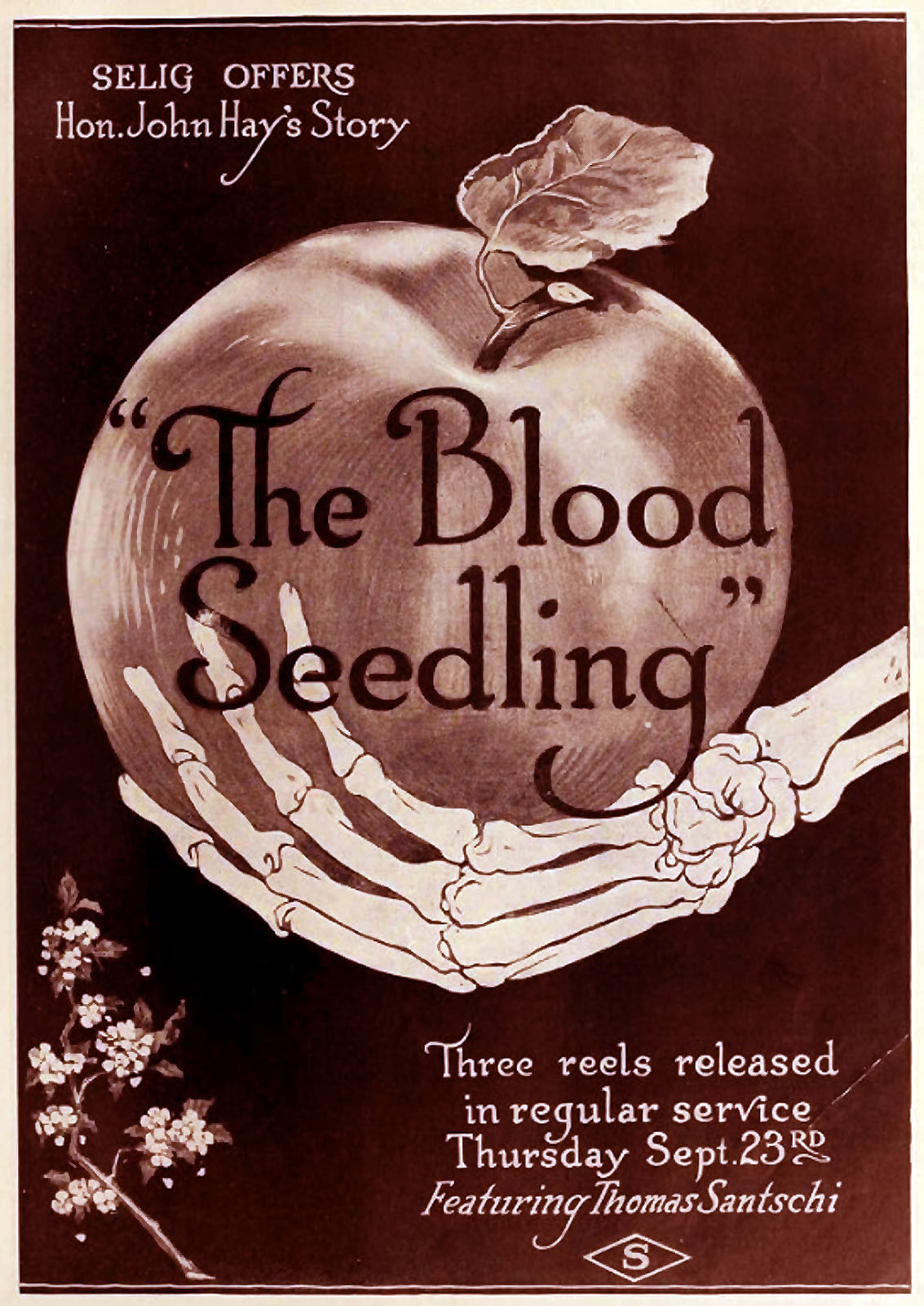 Blood Seedling, The